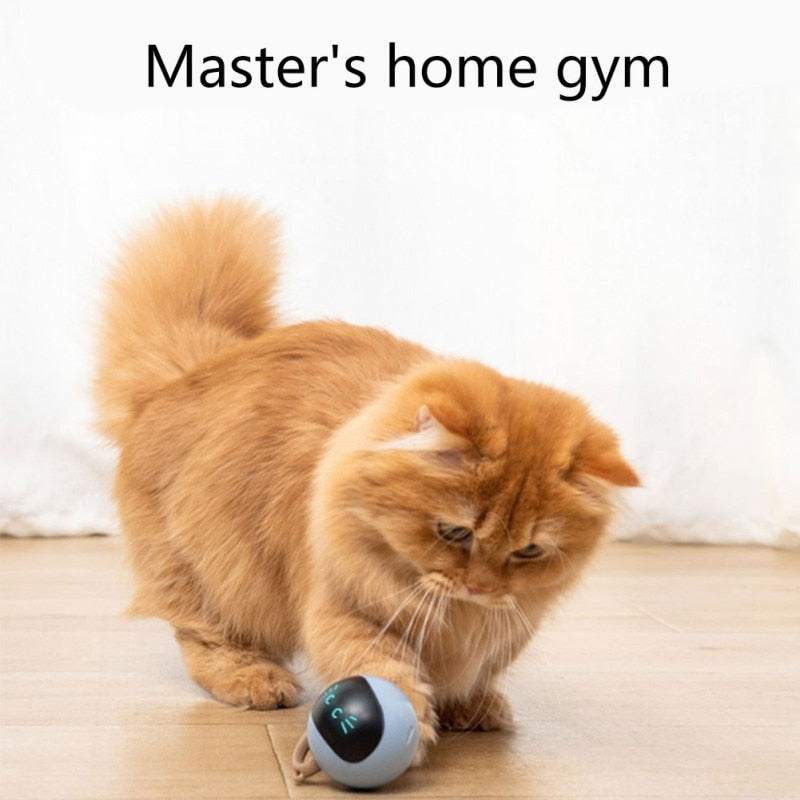 Intelligent Rotating Ball Toy for Cats and Dogs