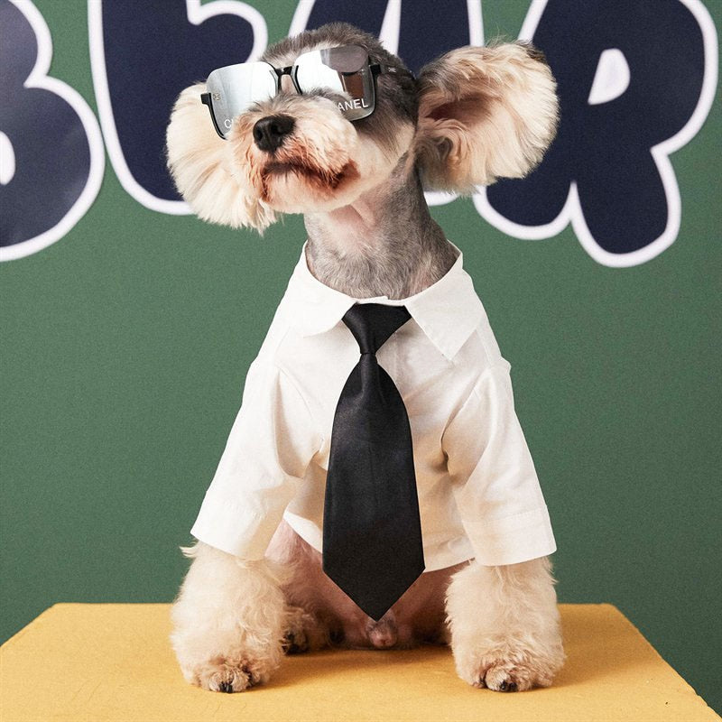 Cachorro Business Camisa y Corbata