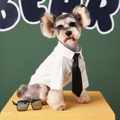 Puppy Business Shirt & Tie (S-XXL)